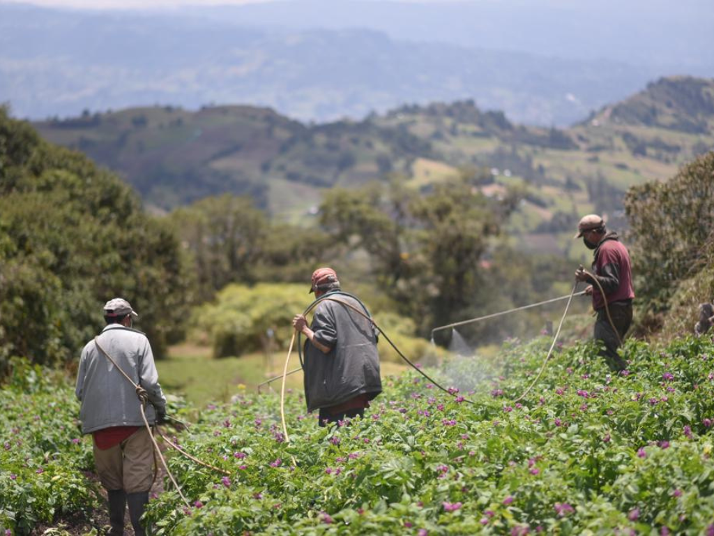 El hidrógeno se perfila como la clave para reducir costos de fertilizantes